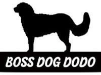 Boss Dog Dodo image 1